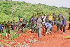 Read more about the article Watumishi Ngorongoro wapanda miti 1,000, wananchi wapewa 10,000