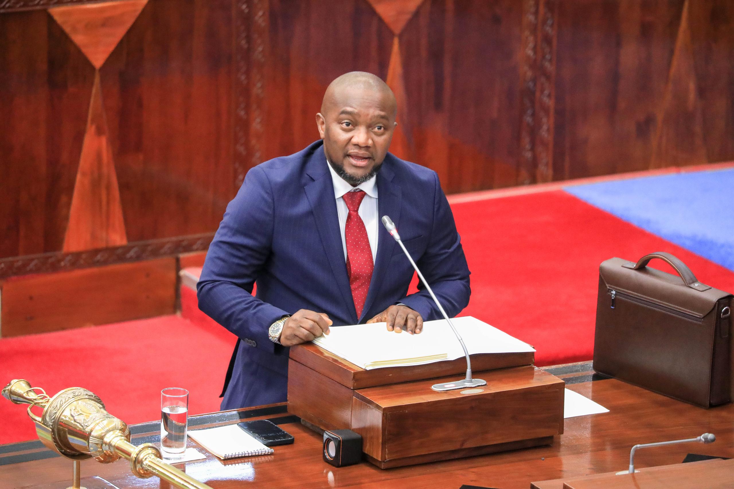 Read more about the article TAMISEMI yaomba trilioni 11.78 bajeti 2025/2026