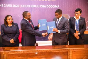Read more about the article NMB yapania kuinua TEHAMA UDOM