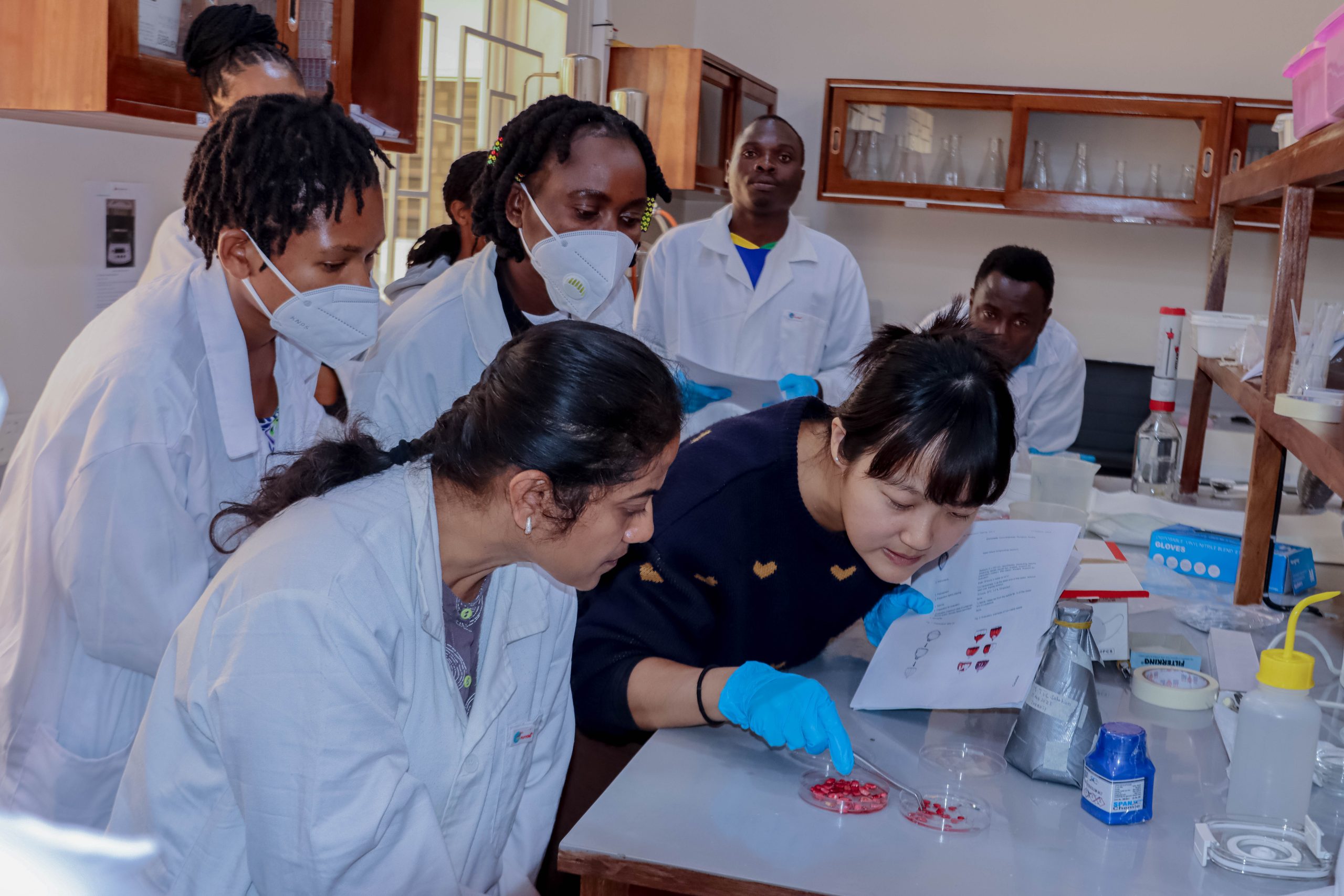 Read more about the article World Vegetable Center: Wakulima tumieni mbegu bora kupata mavuno ya uhakika