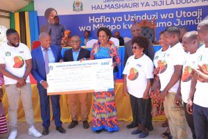 Read more about the article NMB yakabidhi bilioni 1.9 kwa vikundi vya wanawake, vijana na wenye ulemavu Dodoma