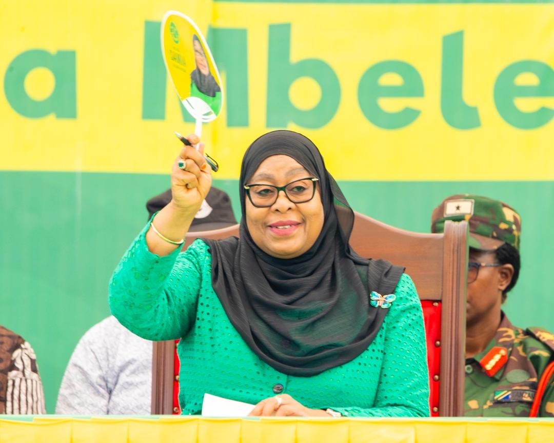 You are currently viewing Samia: Tuitumie stendi kujinufaisha kiuchumi
