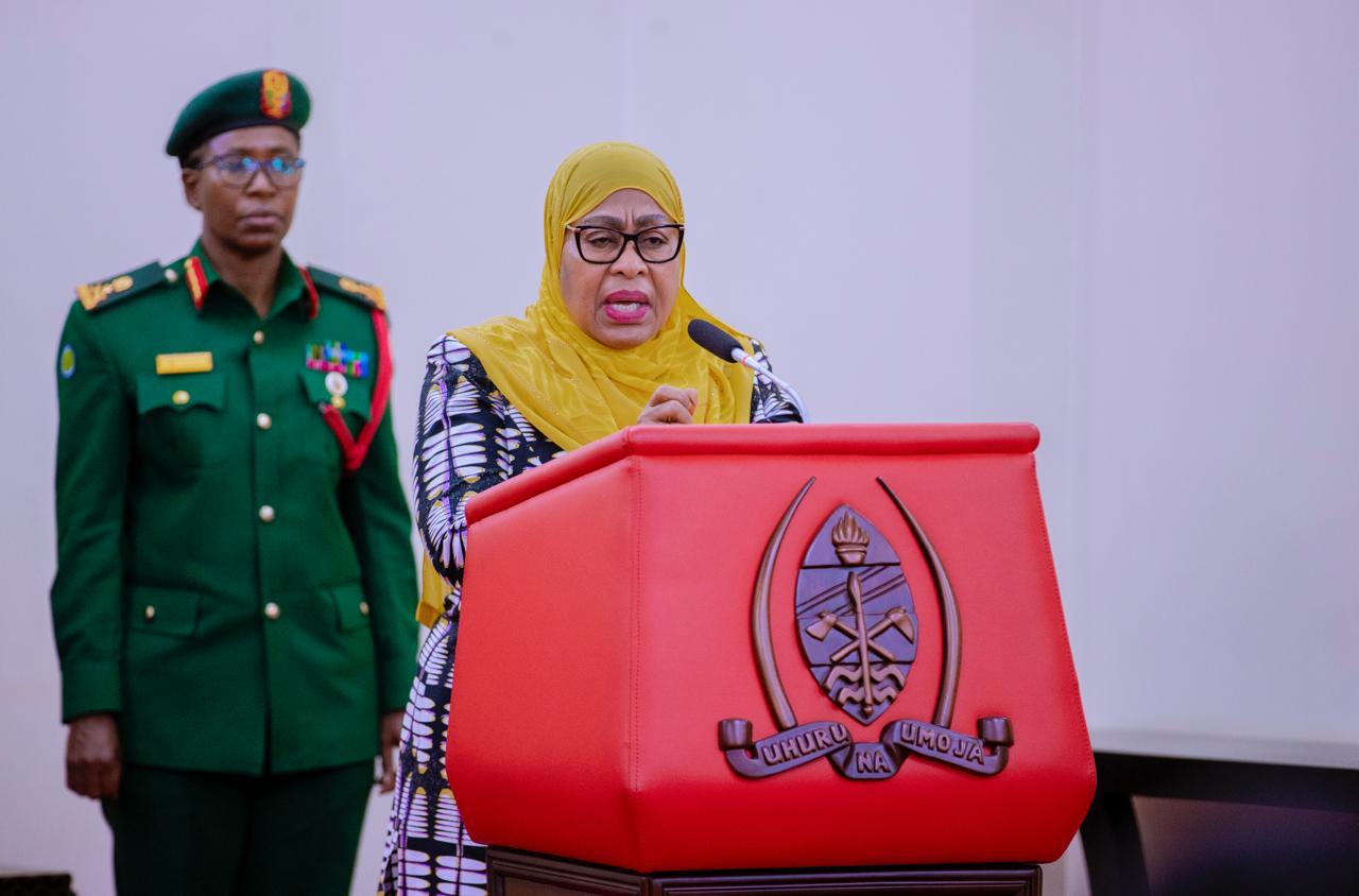 You are currently viewing Rais Samia: Tume niliyounda itazungumza na za nje zitakazoletwa