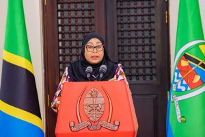 Read more about the article Rais Samia arekebisha wizara mbili, aunda ya vijana