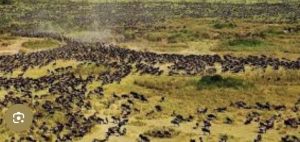 Read more about the article Tanzania yaibuka kidedea ujumbe kamati ya urithi wa Dunia Unesco