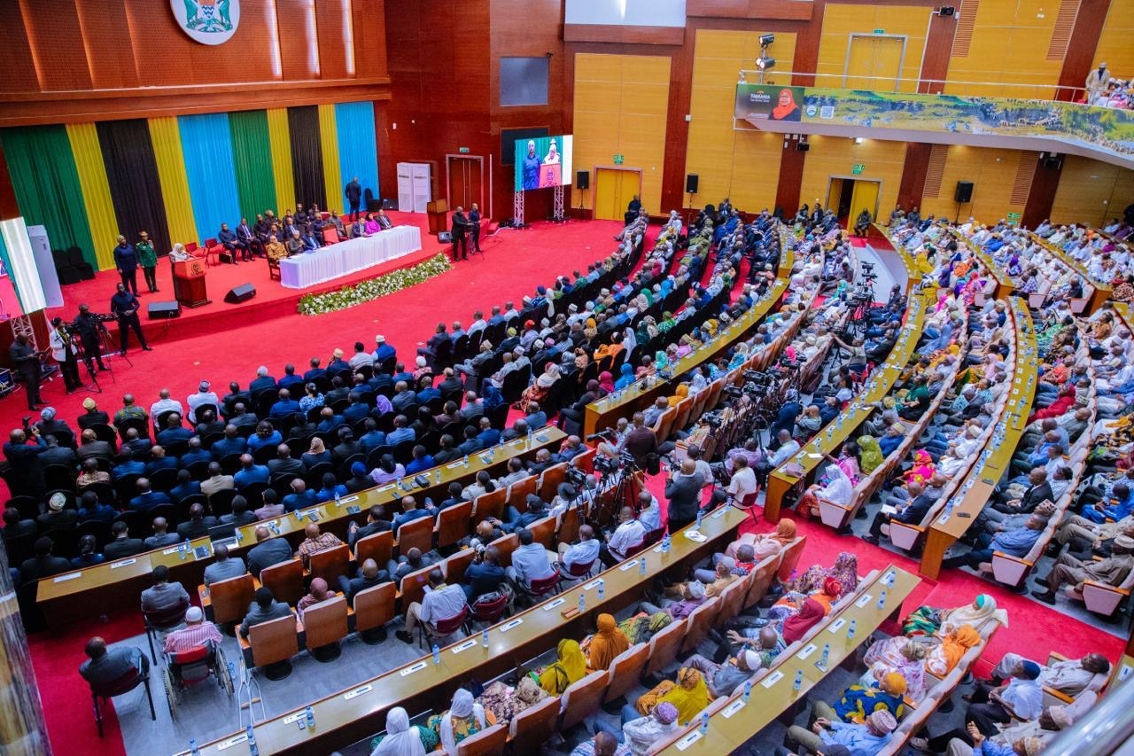 You are currently viewing Dkt Samia: Who are you? Msitupangie