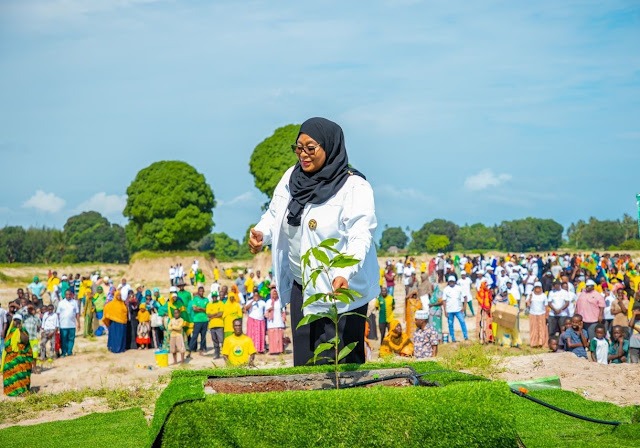 You are currently viewing Dkt. Samia kusheherekea ‘birthday’ kwa kupanda miti Zanzibar
