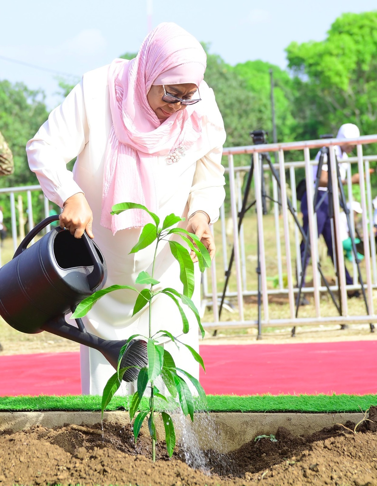 Read more about the article Dkt. Samia asheherekea ‘birthday’ kwa kupanda miti, aacha urithi