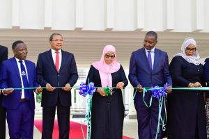 Read more about the article Dkt Samia: Nitatumia ushawishi kupata fedha za miradi