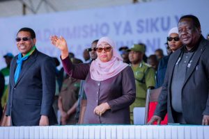 Read more about the article Dkt Samia: Tofauti zisihatarishe amani, mshikamano wetu