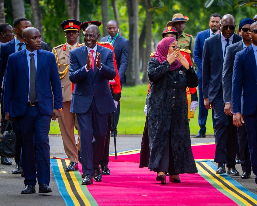 You are currently viewing Dkt Samia: Tutashirikiana na Kenya kuwawezesha ubunifu kwa vijana