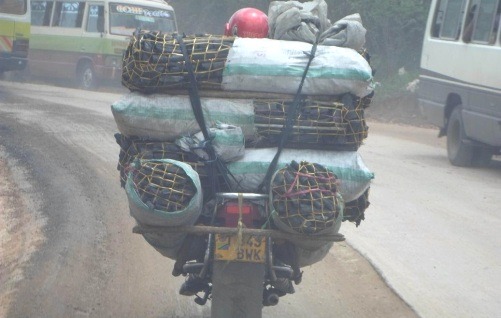 You are currently viewing Maofisa 13 mbaroni kwa tuhuma za mauaji ya wasafirishaji wa mkaa Kagera